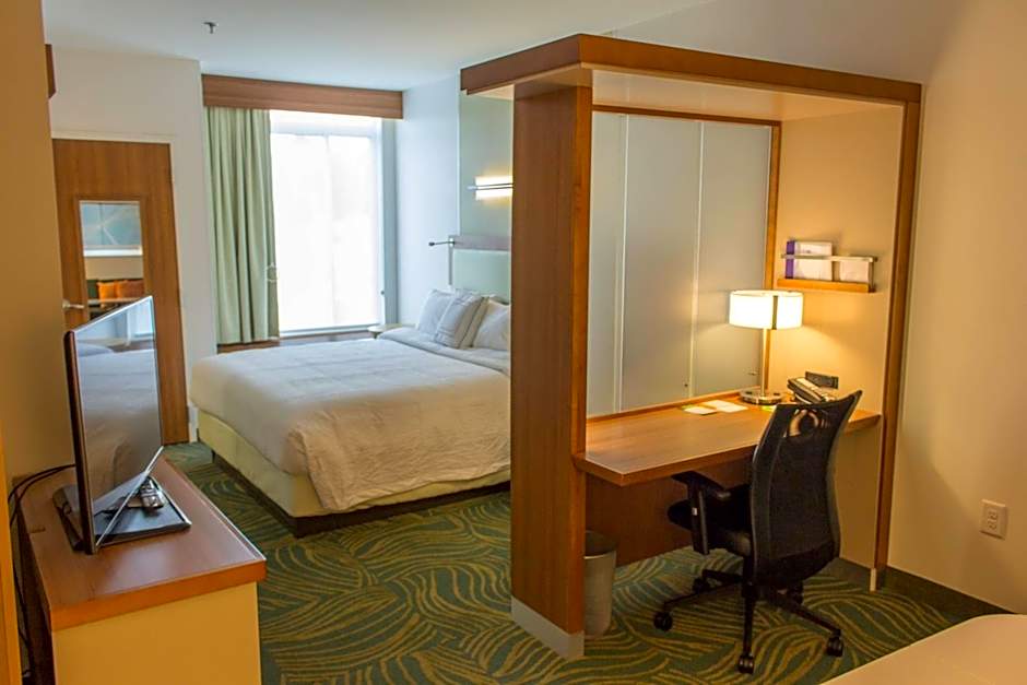 Photo 1 of 3 of 1 King Bed with Trundle Bed Suite