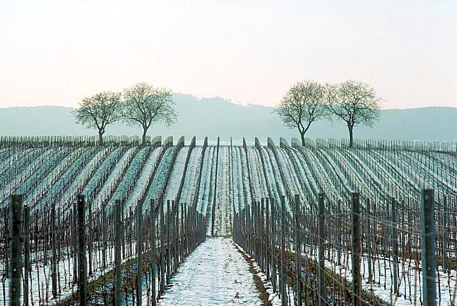 Hotel Restaurant Krone