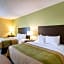 Comfort Inn Horn Lake - Southaven