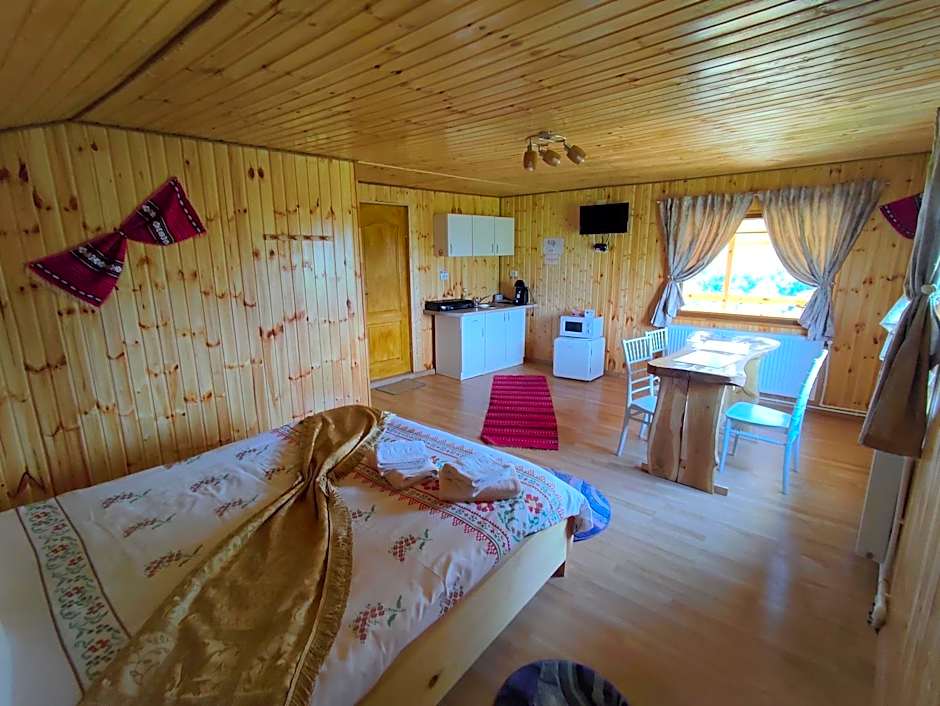 Cabana doi mesteceni