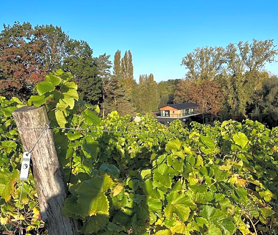 Cabanes avec jacuzzi les pieds dans la vignes