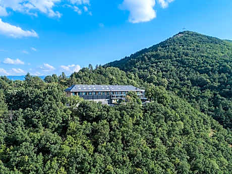 The Lynx Mountain Resort