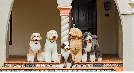 Promisedland Resort & Lagoon