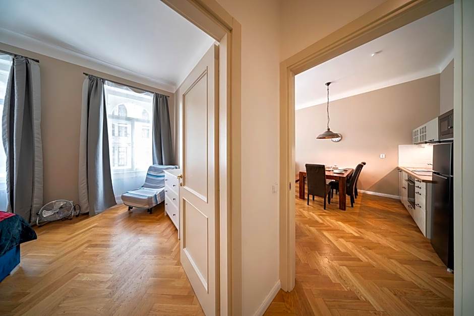 Downtown - Apart Hotel Zborovska