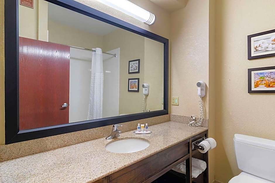 Comfort Inn & Suites Griffin North