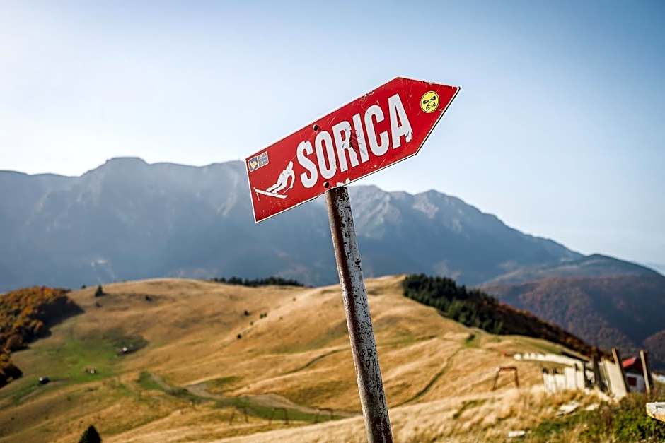 Restaurant Casa Nicolenco Azuga by Genco