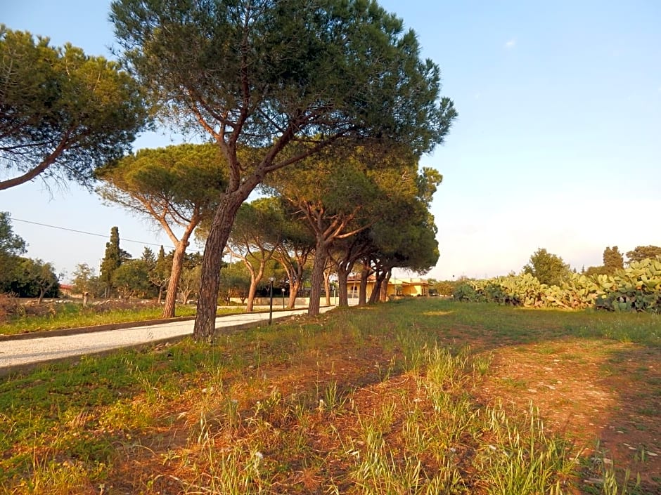 Turtle Island Apartments