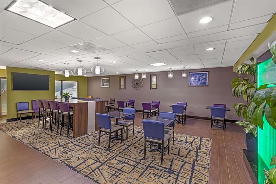 Best Western Plus McDonough Inn & Suites