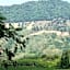 101 Tea Green View