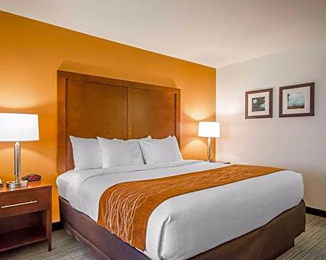 1 King Bed  No Smoking  Accessible Room