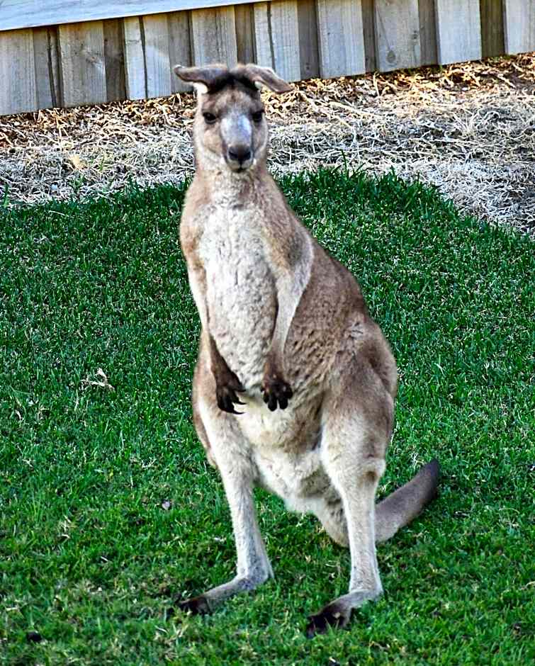 Salt @ South West Rocks