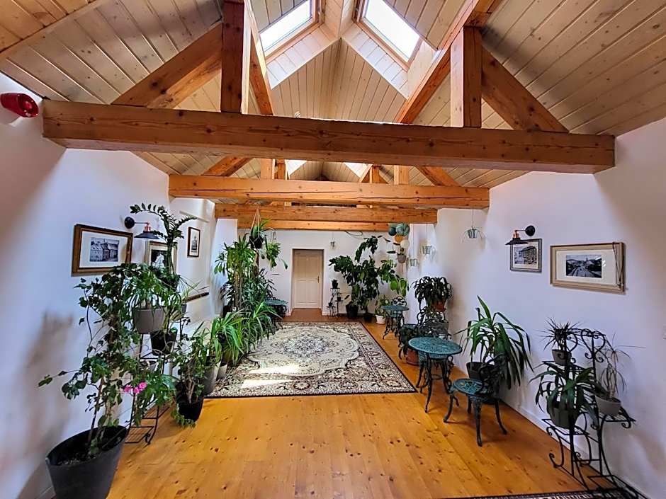 HoStel Cosmopolitan*