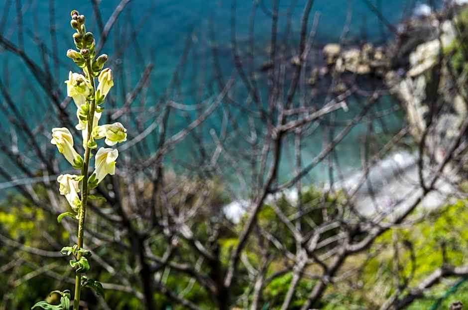 Hotel Villa Argentina
