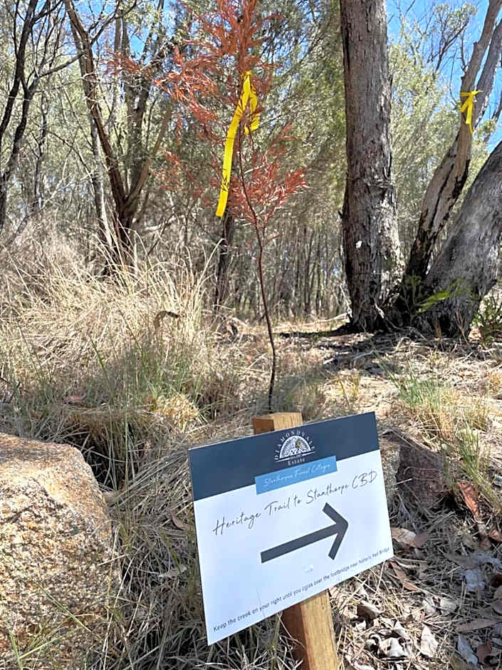 Diamondvale Estate Stanthorpe