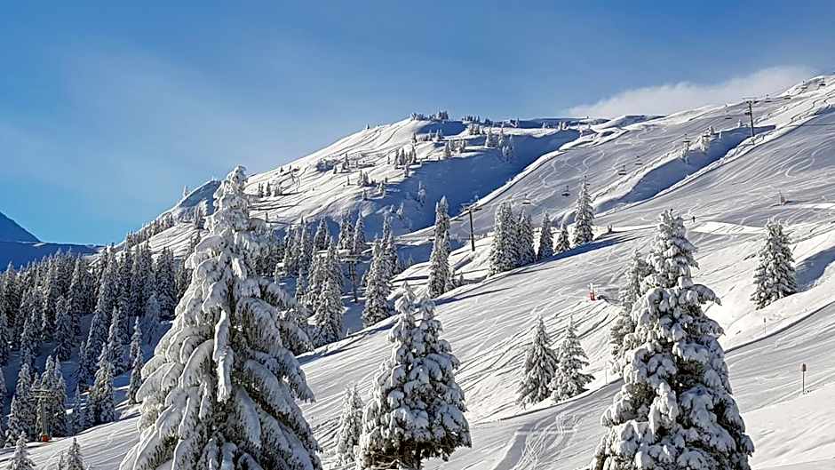 Gartenhotel Lenzenhof - Wildschönau- PREMIUMCARD inclusive