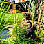 Art & Garden Residence