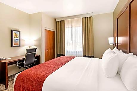 1 King Bed, Suite, Nonsmoking