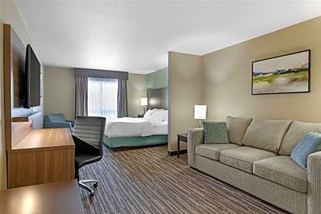 King Suite with Sofa Bed - Non-Smoking