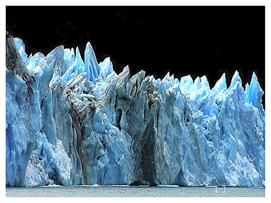 Rochester Calafate