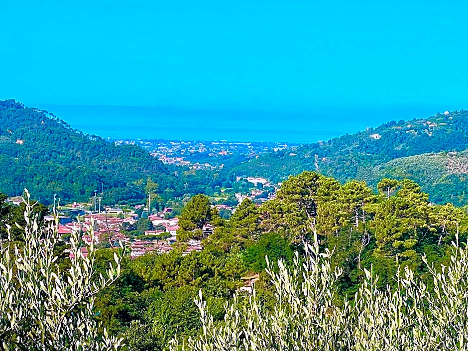 Casa Del Sole