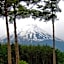 Evergreen-Fuji