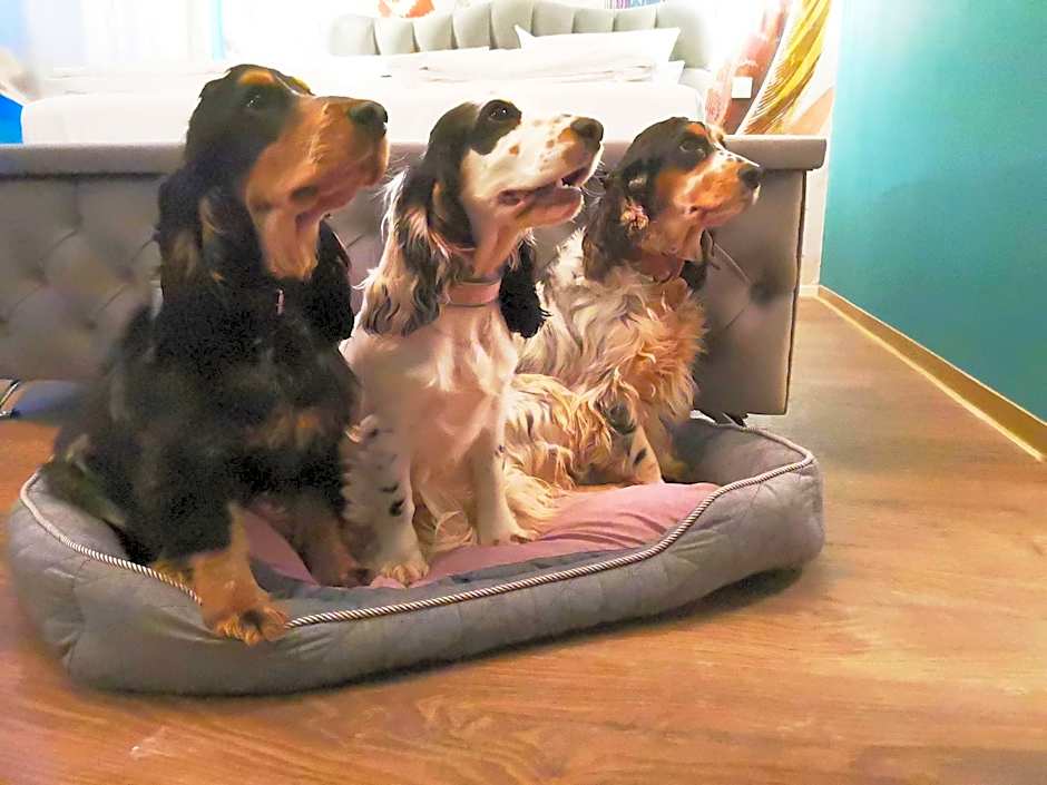 Boutique Hotel & Bio Wirtshaus Schwarzer Bock