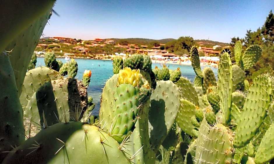 Le stanze del mare