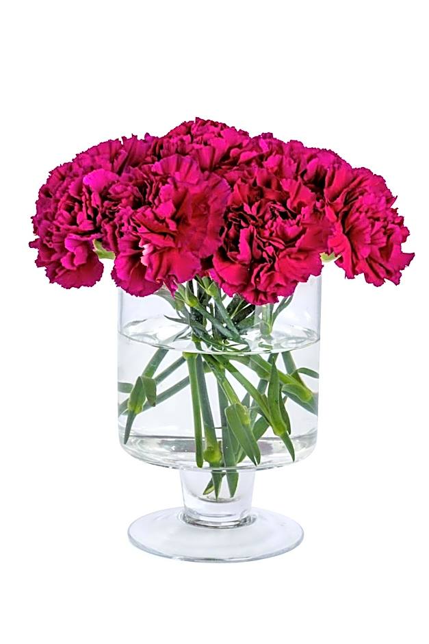 Best Western Leto Arena