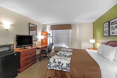 Queen Room Pet Friendly - Accessible/Non-Smoking