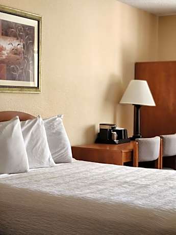 Luxury Inn & Suites