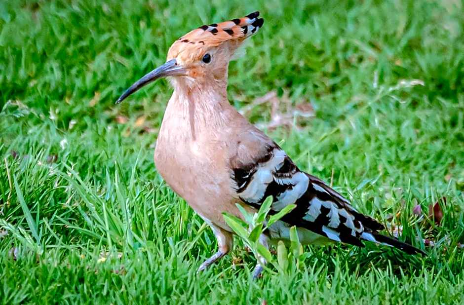 Silver Beach Boutique Hotel