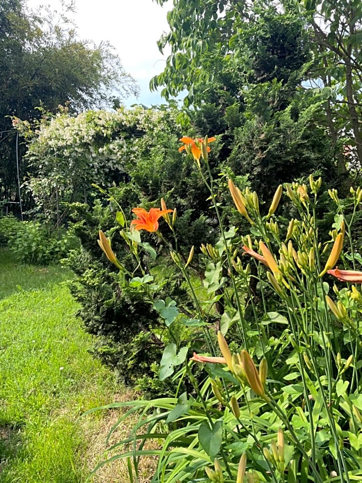 B&B Villa Giardini Susanna