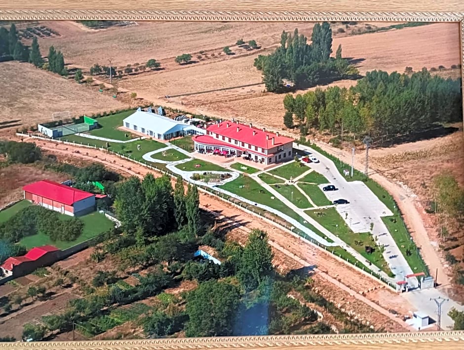 Prado de las merinas