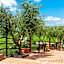 Sporting Hotel San Felice
