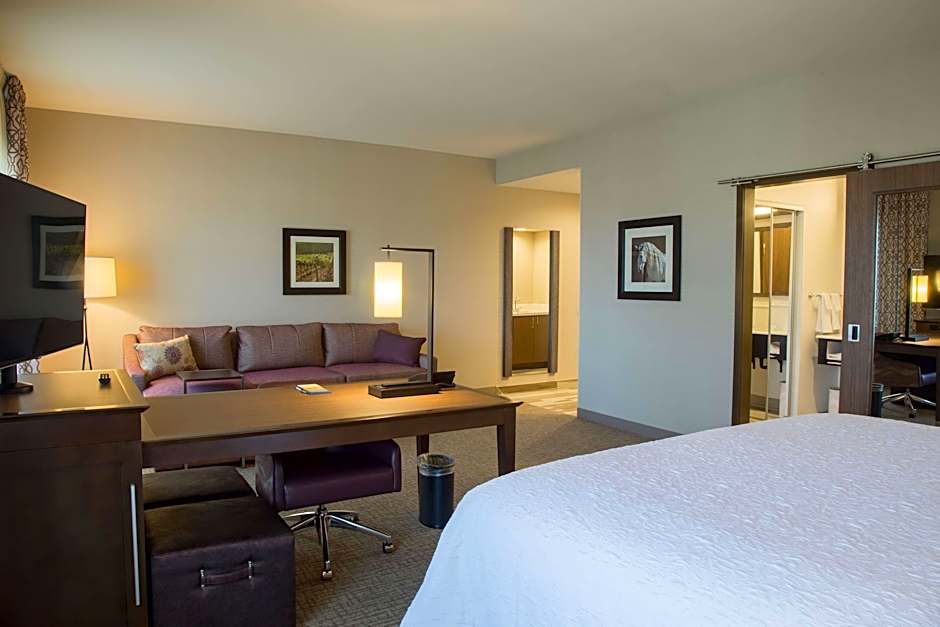 Photo 1 of 1 of 1 King Bed with Sofabed, Hearing Accessible