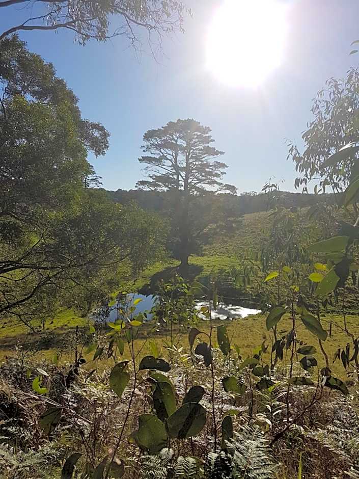 Dorrigo Bush Pepper Retreat