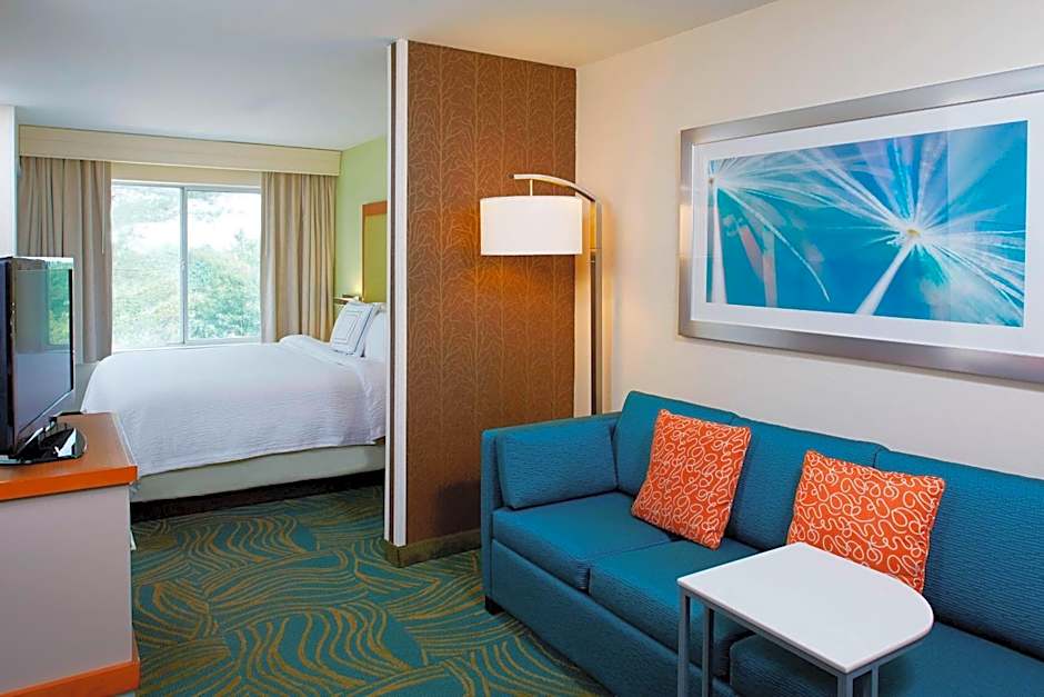 SpringHill Suites by Marriott Atlanta Six Flags