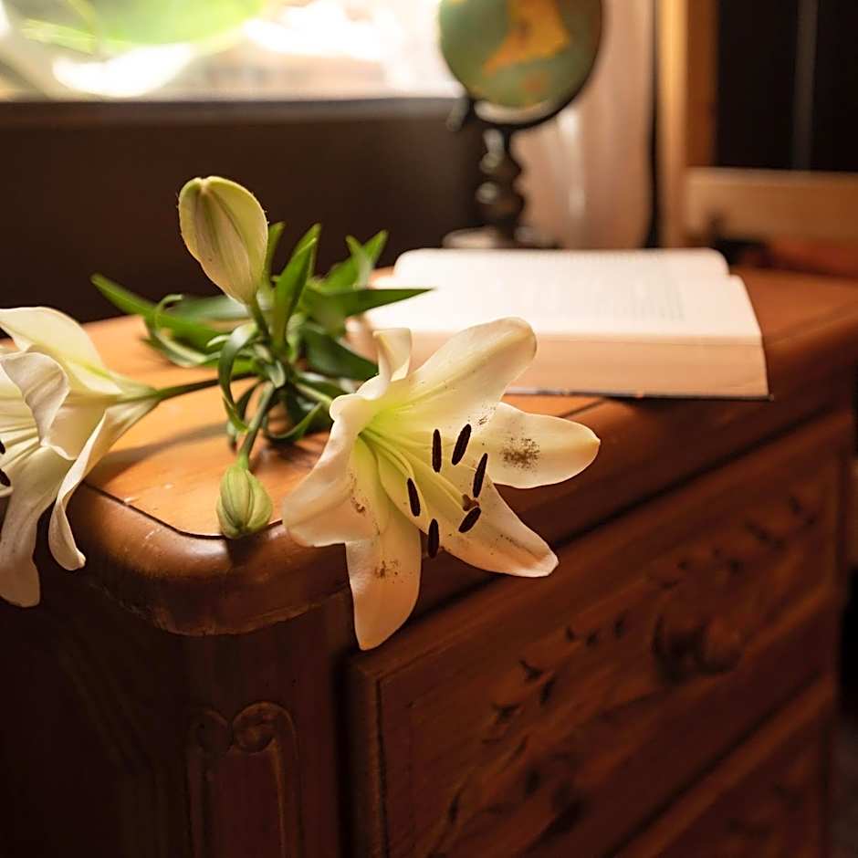 Los Amigos Nest Hostel