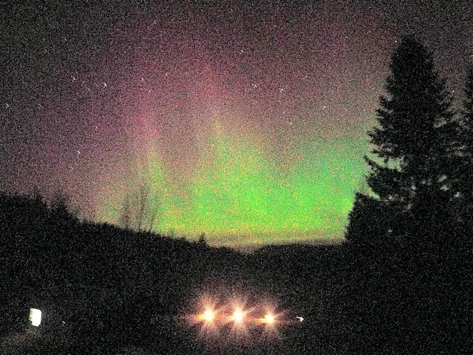 Wolfwood Guest Ranch