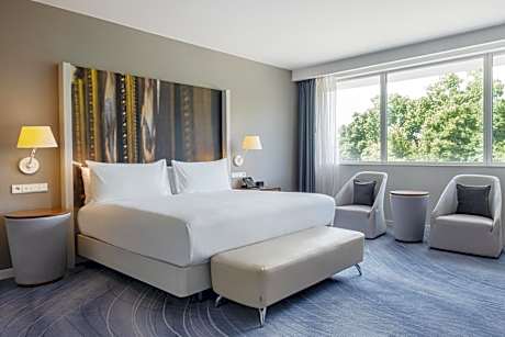 One-Bedroom King Suite
