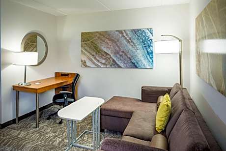 One-Bedroom Suite with Sofa Bed and Roll-in Shower - Mobility and Hearing Accessible
