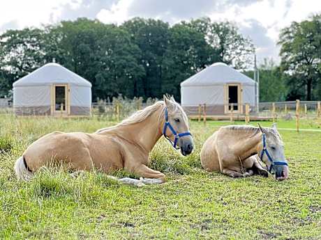 Magnolia Hoeve - Unieke Bestemming voor Paardenliefhebbers en Bijzondere Overnachtingen in de natuur