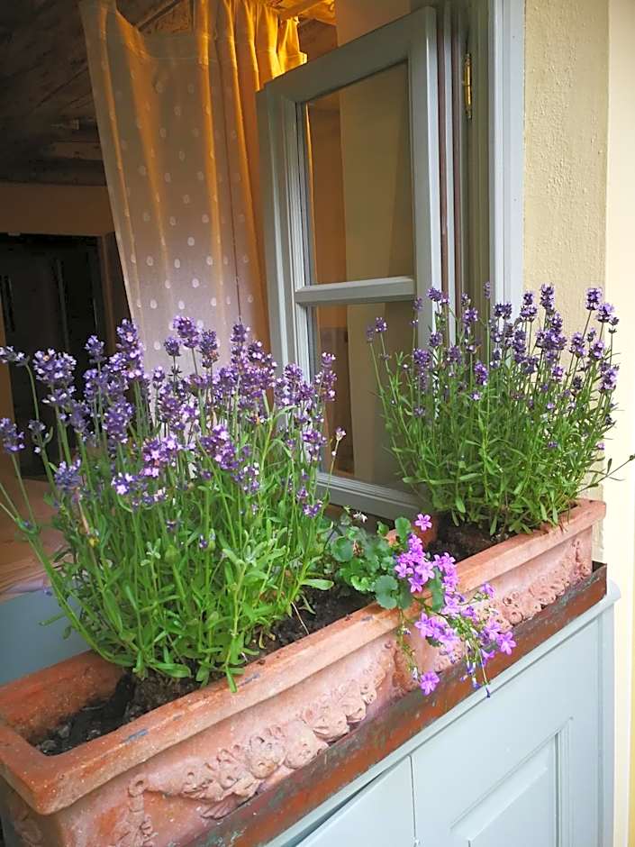 Corte delle Camelie Bed and Breakfast