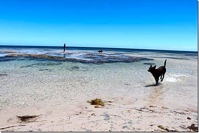 Echo Holiday Parks - Normanville