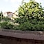 Emre's Stone House
