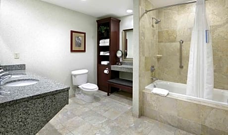 1 King 1 Bedroom Suite Tub Non-Smoking