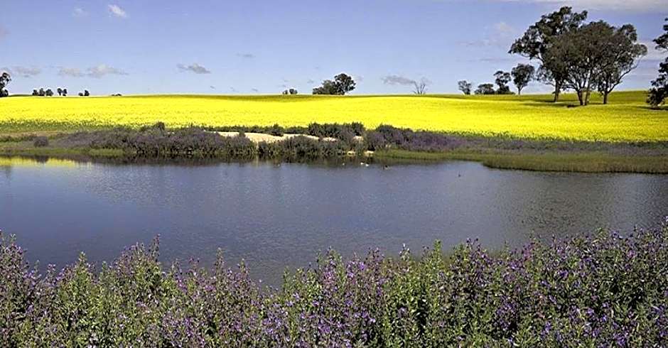 Cootamundra Gardens Motel
