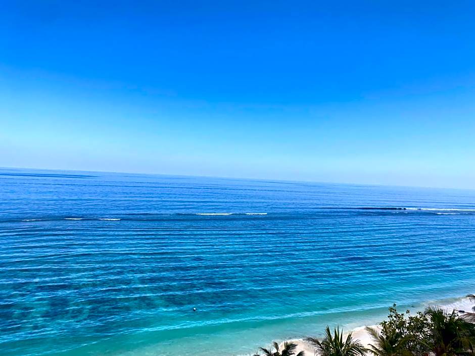 The Hive Beach