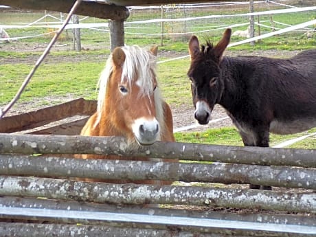 Les chambres du Vau Profond