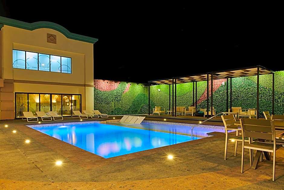 Wingate by Wyndham Chihuahua